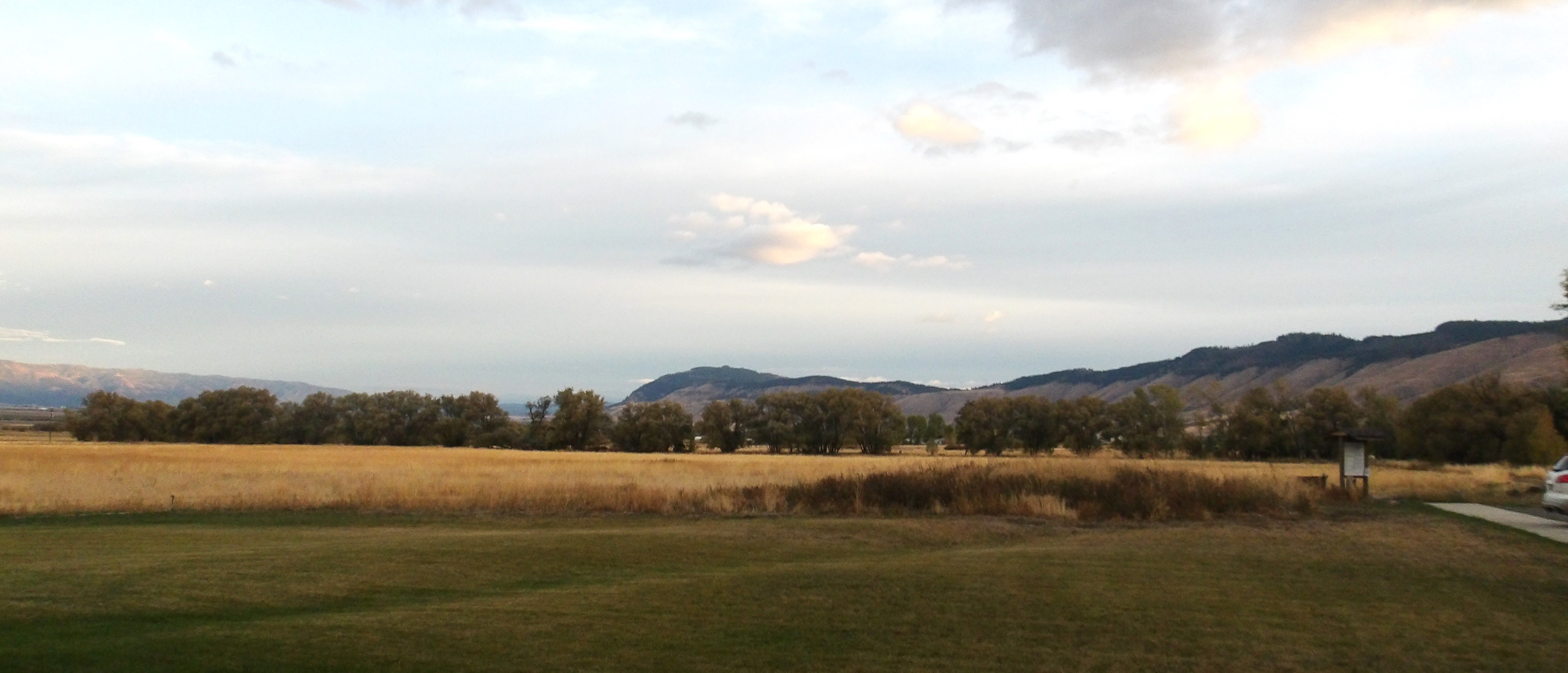 photo description here