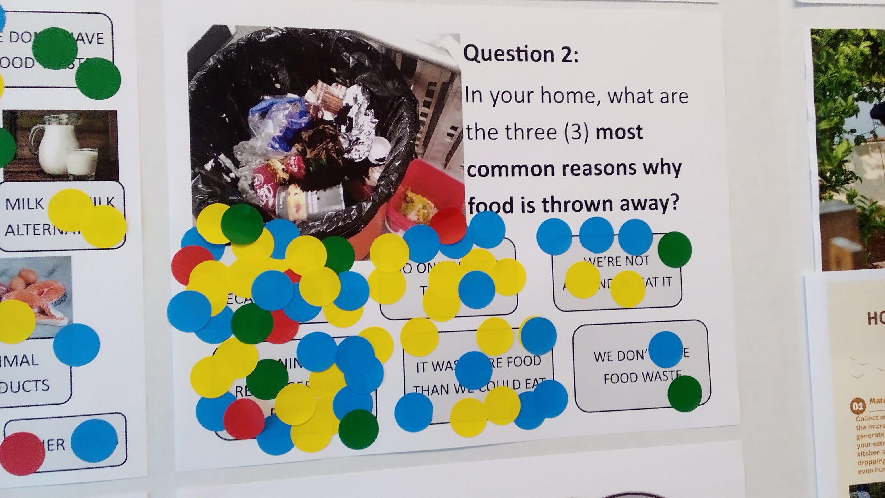 Sticky dots are layered on top of graphics with text indicating different answers to the prompt, “Question 2: In your home, what are the three most common reasons why food is thrown away?”