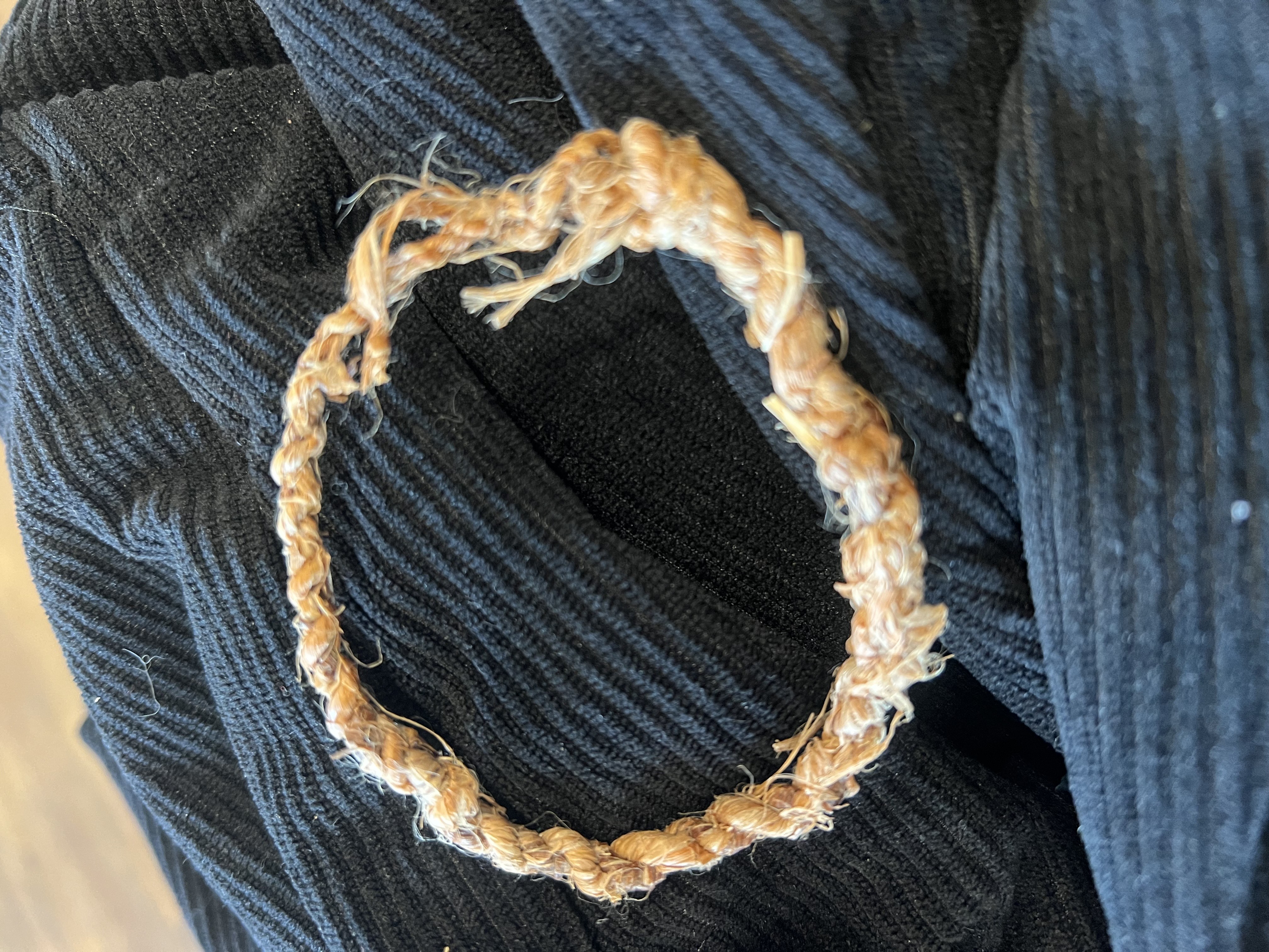 [Photo description, Credit Monica Paradise 2025]